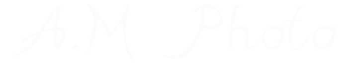 岡山市のエーエムフォトのロゴ